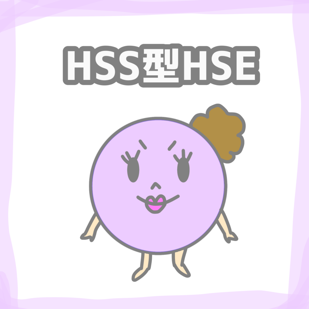 HSS型HSE